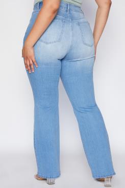 Curvy Girl Basic Flare Jean
