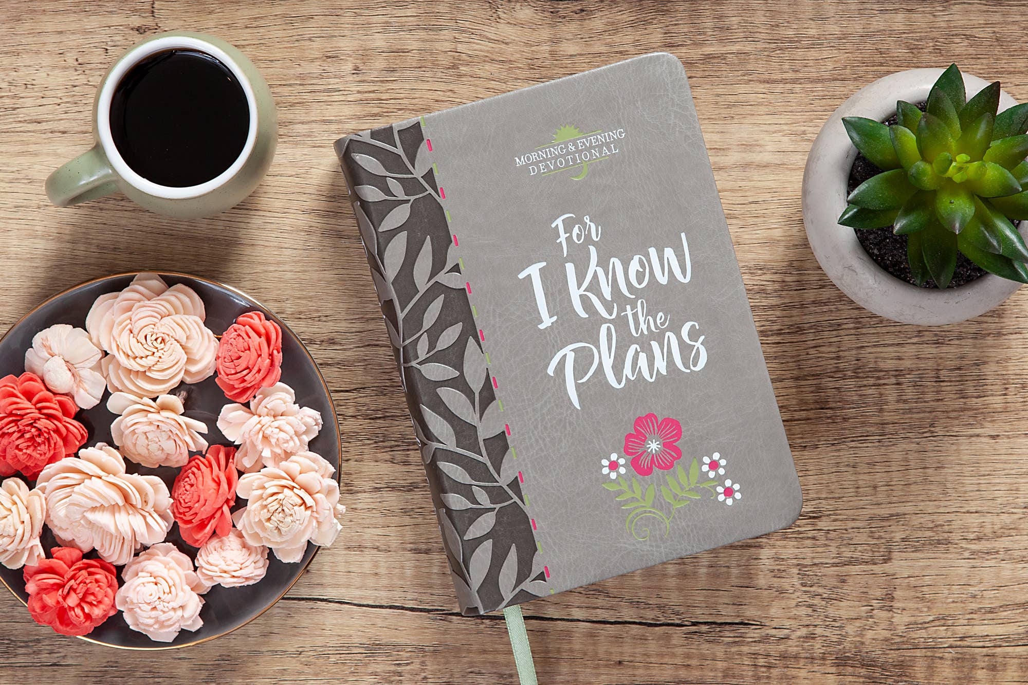 For I Know the Plans