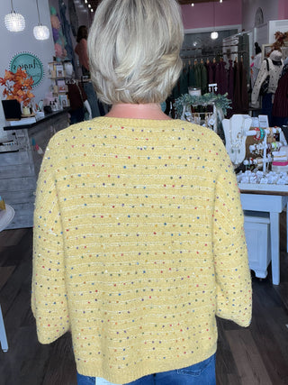 A Little Confetti Sweater.