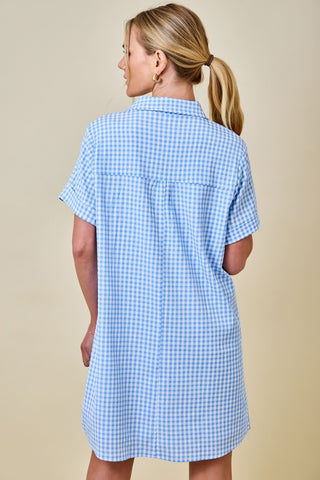 Sweet Tea & Blue Skies Gingham Dress