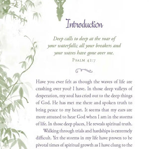 Peace in the Storms of Life