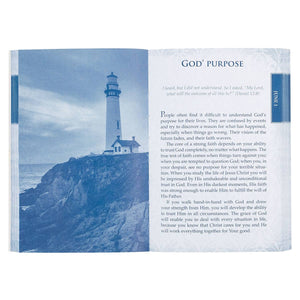 Devotional A Shelter from the Storm Softcover