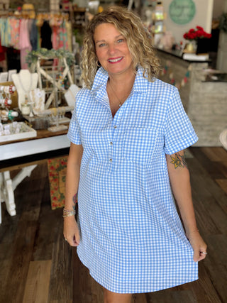 Sweet Tea & Blue Skies Gingham Dress