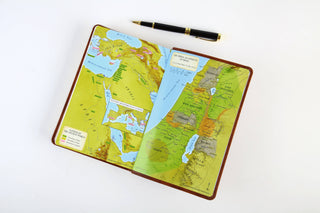 The KJV Study Bible - Chestnut Brown with Fish Engraved