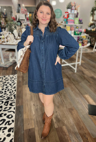 Everyday Denim Dress