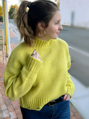 Lori Lime Distressed Cropped Sweater