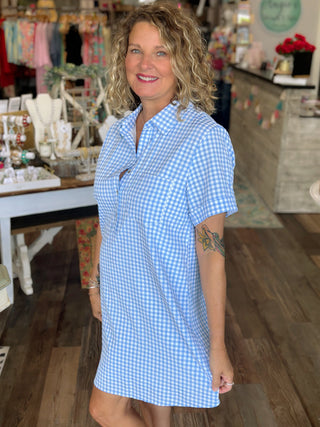 Sweet Tea & Blue Skies Gingham Dress