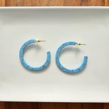 Camy Hoops / Acrylic Hoop Earrings