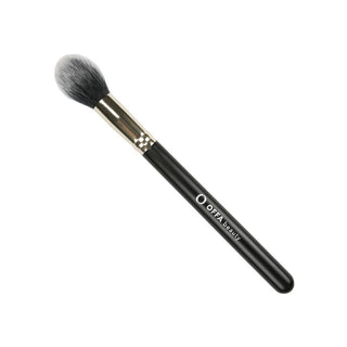 Classy Highlighter / Multi-Face Brush