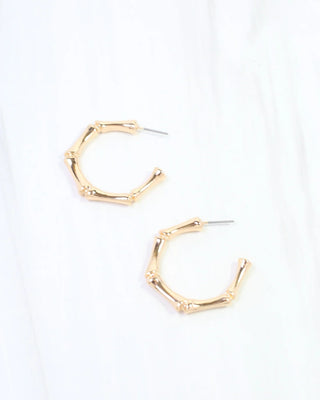 Bamboo Hoop Earrings in Gold