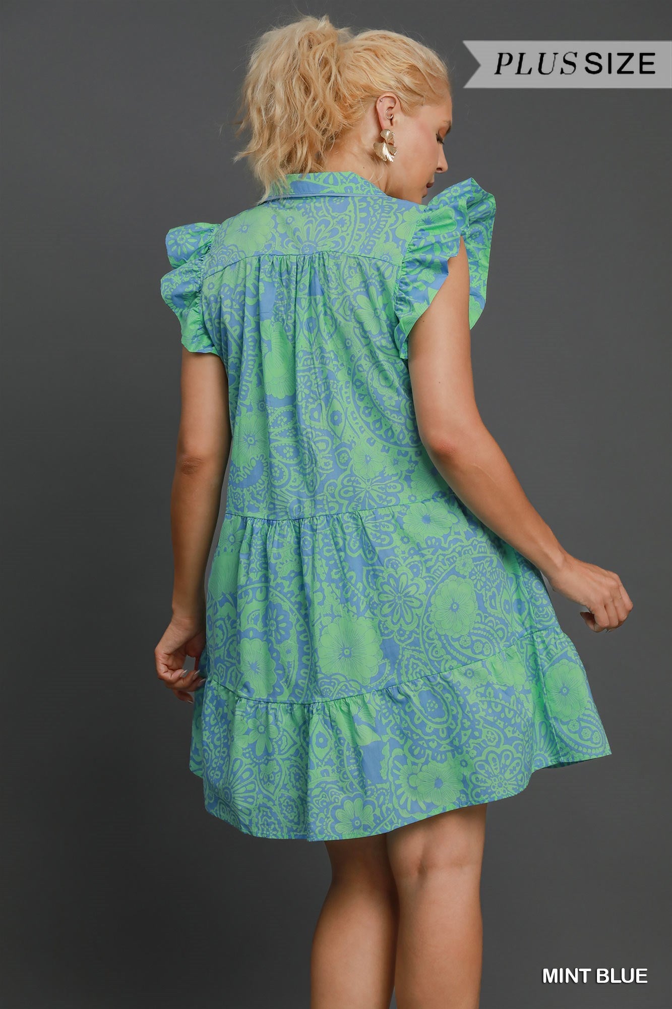 Isnt She Lovely Tiered Style Dress in Curvy