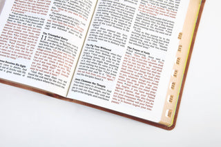 The Barbour Simplified KJV--Large Print [Rust & Stone with Cross Engraved]