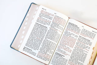 The Barbour Simplified KJV--Large Print [Rust & Stone with Cross Engraved]