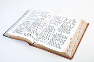 The Barbour Simplified KJV--Large Print [Rust & Stone with Cross Engraved]