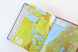 The Barbour Simplified KJV--Large Print [Rust & Stone with Cross Engraved]