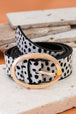 CHEETAH WHITE