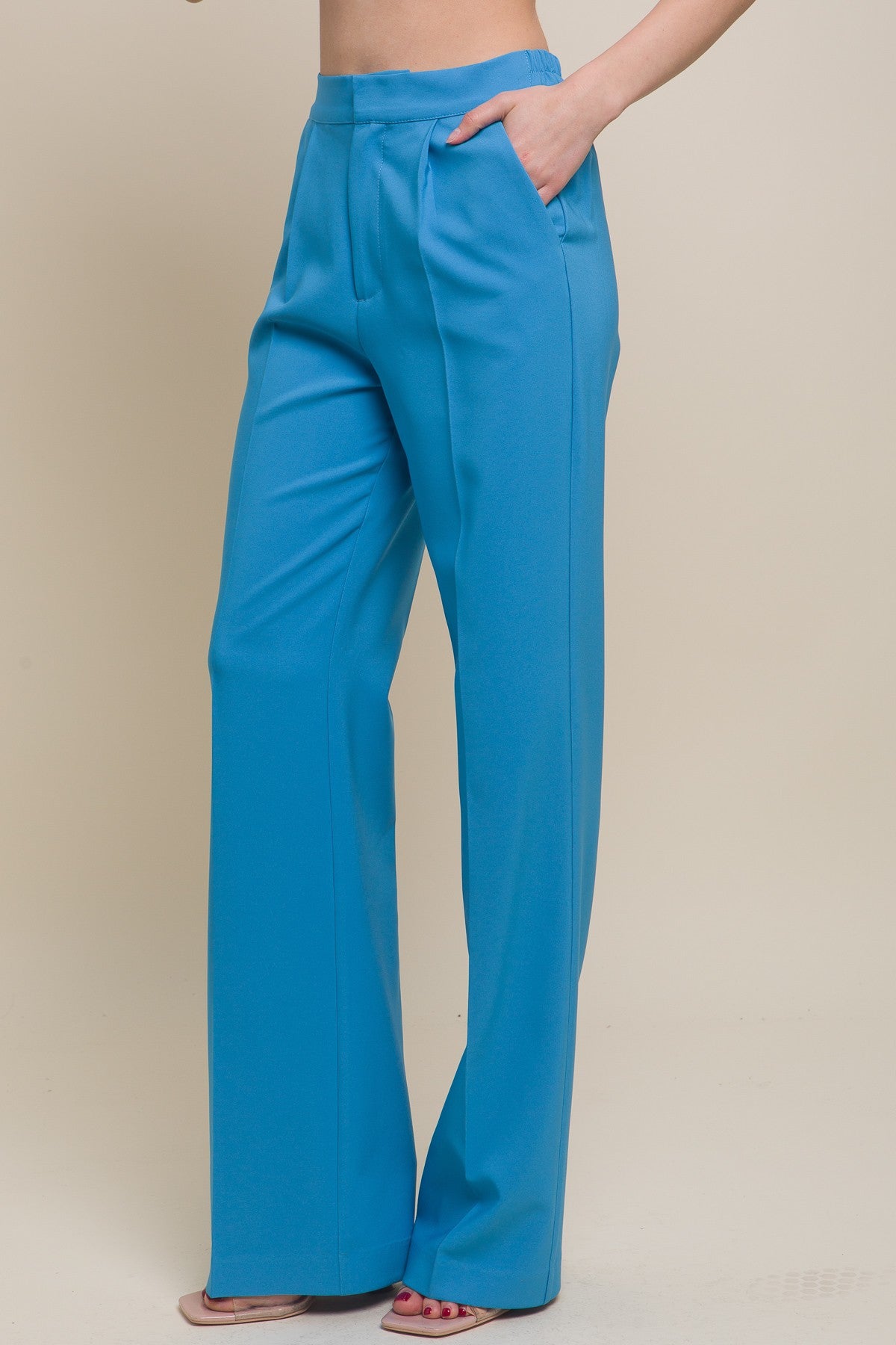 Pleated Dress Pant